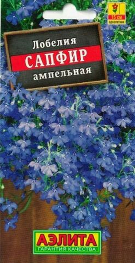Лобелия Сапфир ампельная