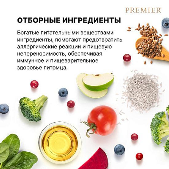 Premier Dog Lamb&Turkey ADULT Mini сухой корм для собак мелких пород с свежим мясом ягненка с индейки