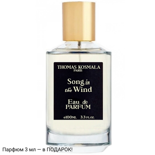 Thomas Kosmala Song In The Wind