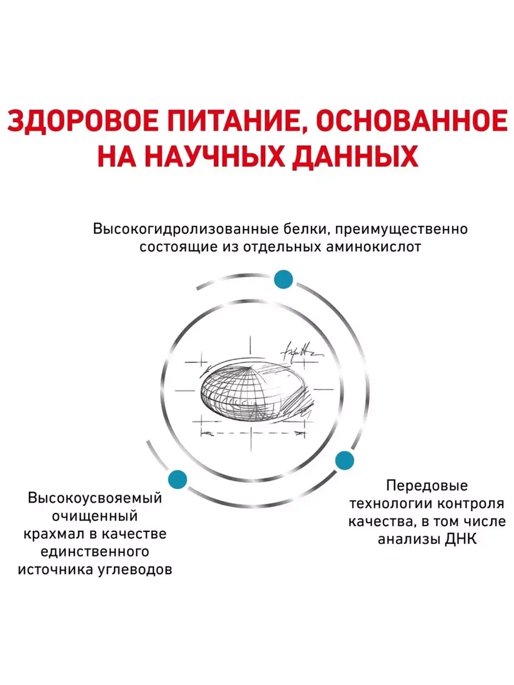 Royal Canin Anallergenic (Роял Канин Аналлердженик )корм сухой для собак Anallergenic 3 кг.