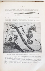 "Руководство зоологии. Для мужских средне-учебных заведений". Л. и В.Шимкевич. 1910 г.