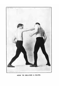 Boxing, and how to train | Sam C. Austin