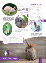 Удивительный мир животных. Энциклопедия для детей