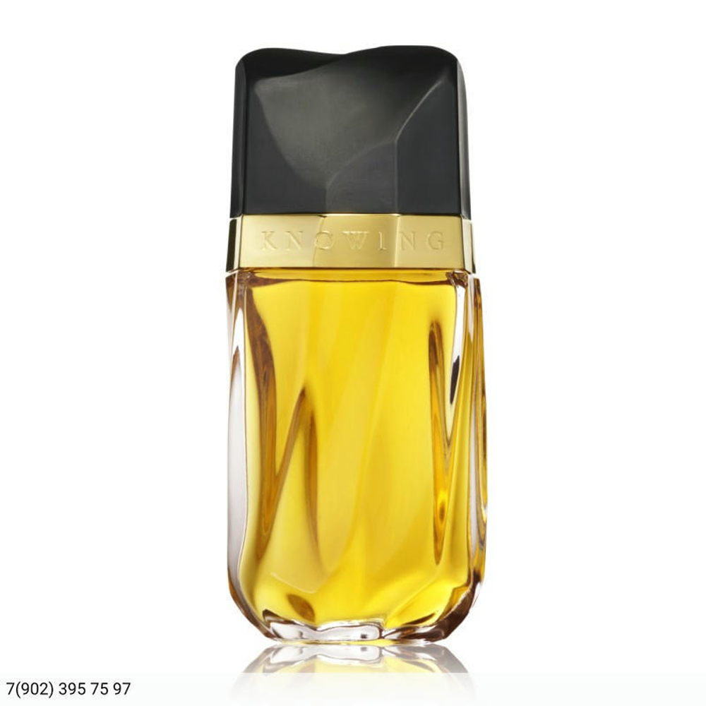 Estee Lauder Knowing