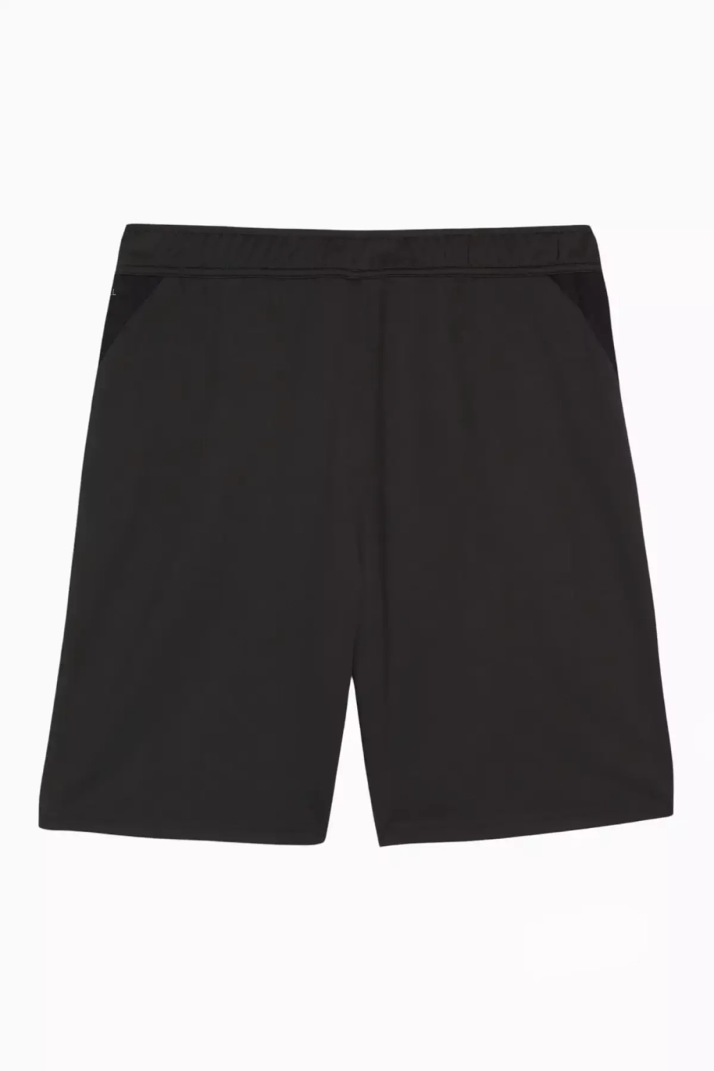 Шорты Puma teamGOAL Training