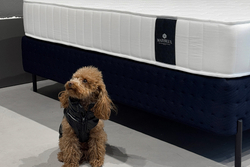 Матрас MaterLux VILAMURA MULTI FORTE (ВИЛАМУРА МУЛЬТИ ФОРТЕ)