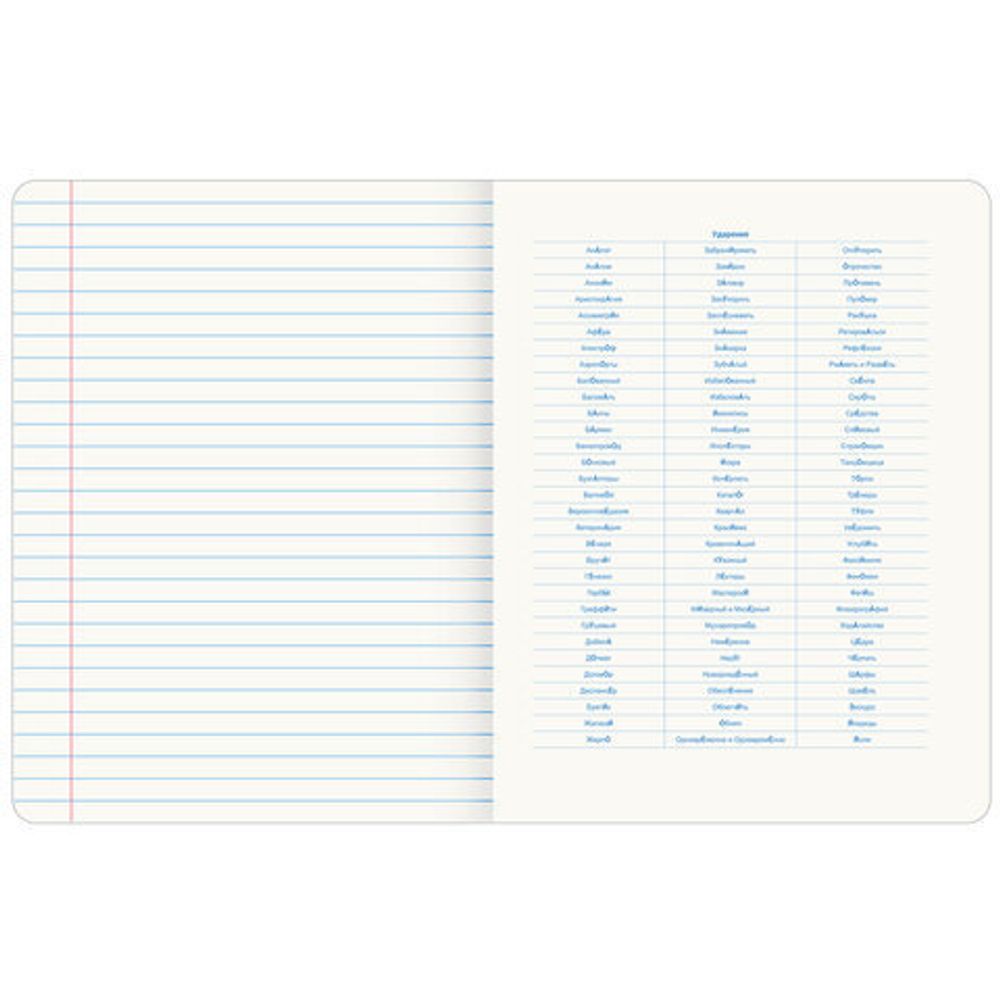 Тетрадь предметная со справочным материалом ORIGINAL 48 л., TWIN лак, РУССКИЙ ЯЗЫК, линия, BRAUBERG, 404306