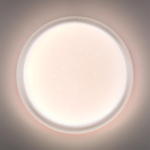 Потолочный светодиодный светильник Sonex JOLLY 7775/DLN