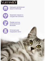 Влажный корм для кошек с чувствительным пищеварением, 28 шт.