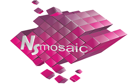 NSmosaic