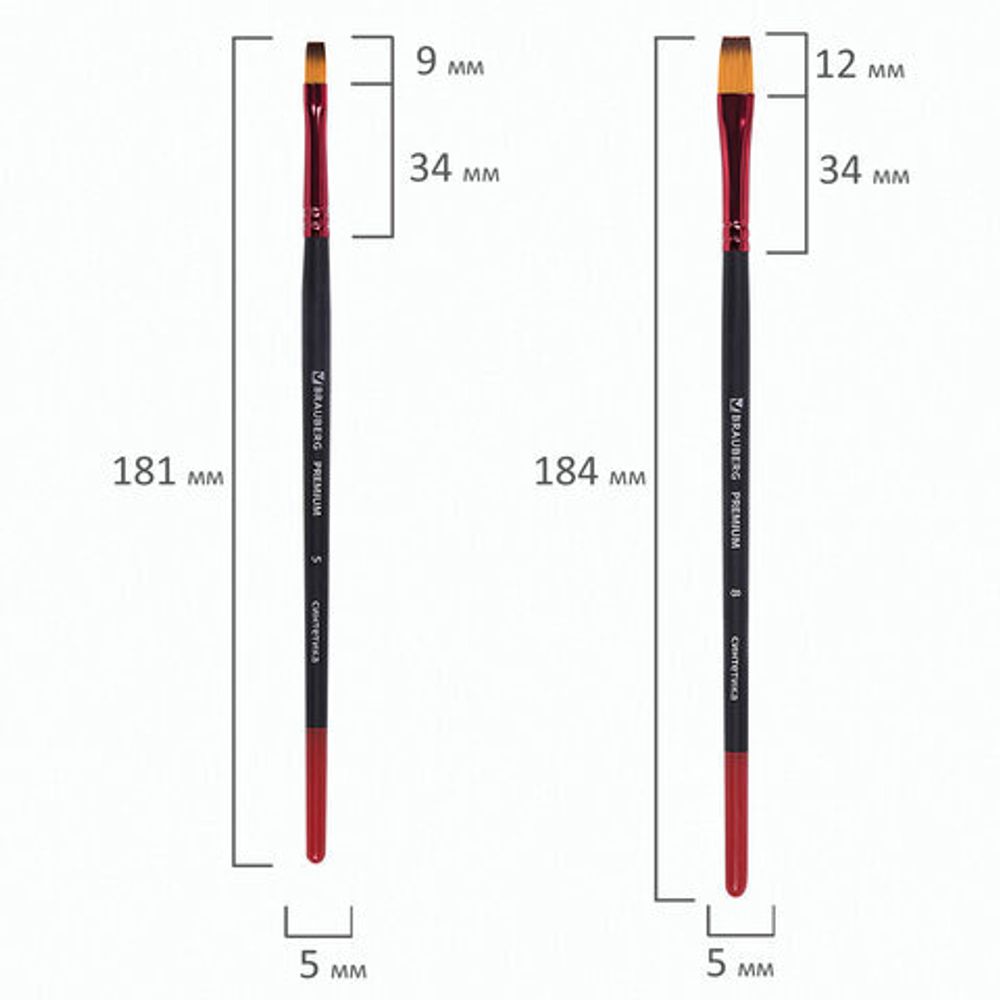 Кисти BRAUBERG PREMIUM, набор 5 шт. (синтетика, круглая № 1, 3, 5, плоская № 5, 8), блистер, 201024