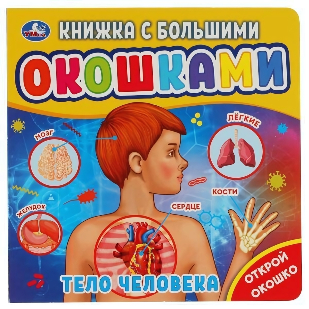 Книжка с большими окошками "Тело человека" 9785506045724 (Умка)