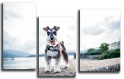 Модульная картина "Взгляд собаки"