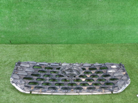 Решетка радиатора Hyundai Santa Fe 4 TM (20-24)