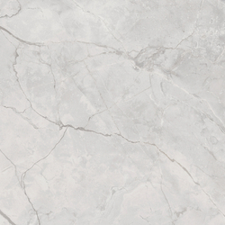 Connect Gris Керамогранит серый SG619922R 60х60 полированный