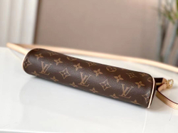 Louis Vuitton Eva