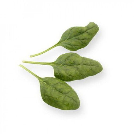 ПУМА F1 семена шпината (Rijk Zwaan | Alexagro)