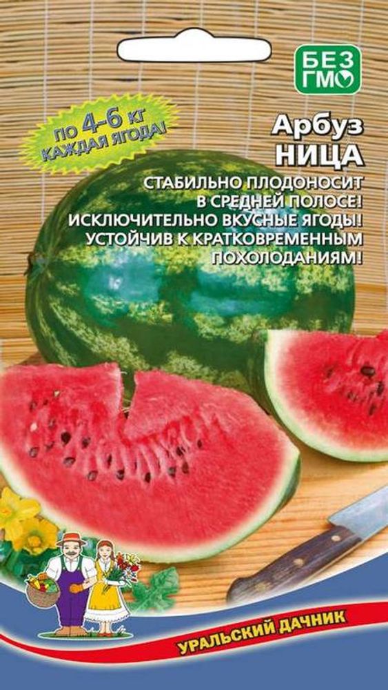 Арбуз "G. Ница" 10шт., Россия. Арбуз "G. Ница" 10шт., Россия.