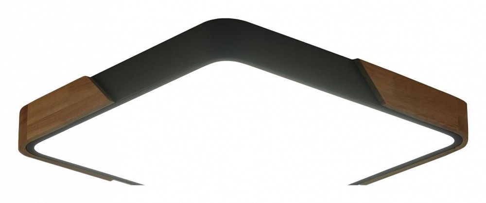 Накладной светильник Zortes Alberro ZRS.01288.24