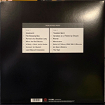 Steve Hackett / Momentum (LP)