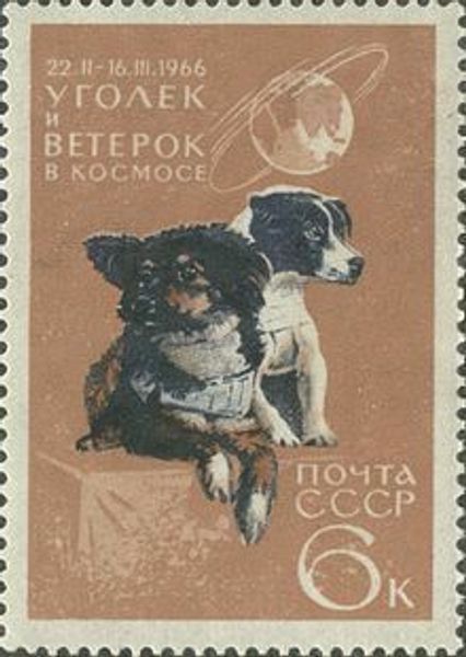 22 февраля 1966
