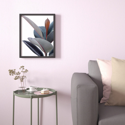 IKEA BILD  (ИКЕА БИЛД)  -  Постер, Горшечное растение -Зей, 40x50 см