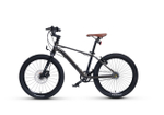 Maxiscoo "7BIKE" 20'' M700 (2024)
