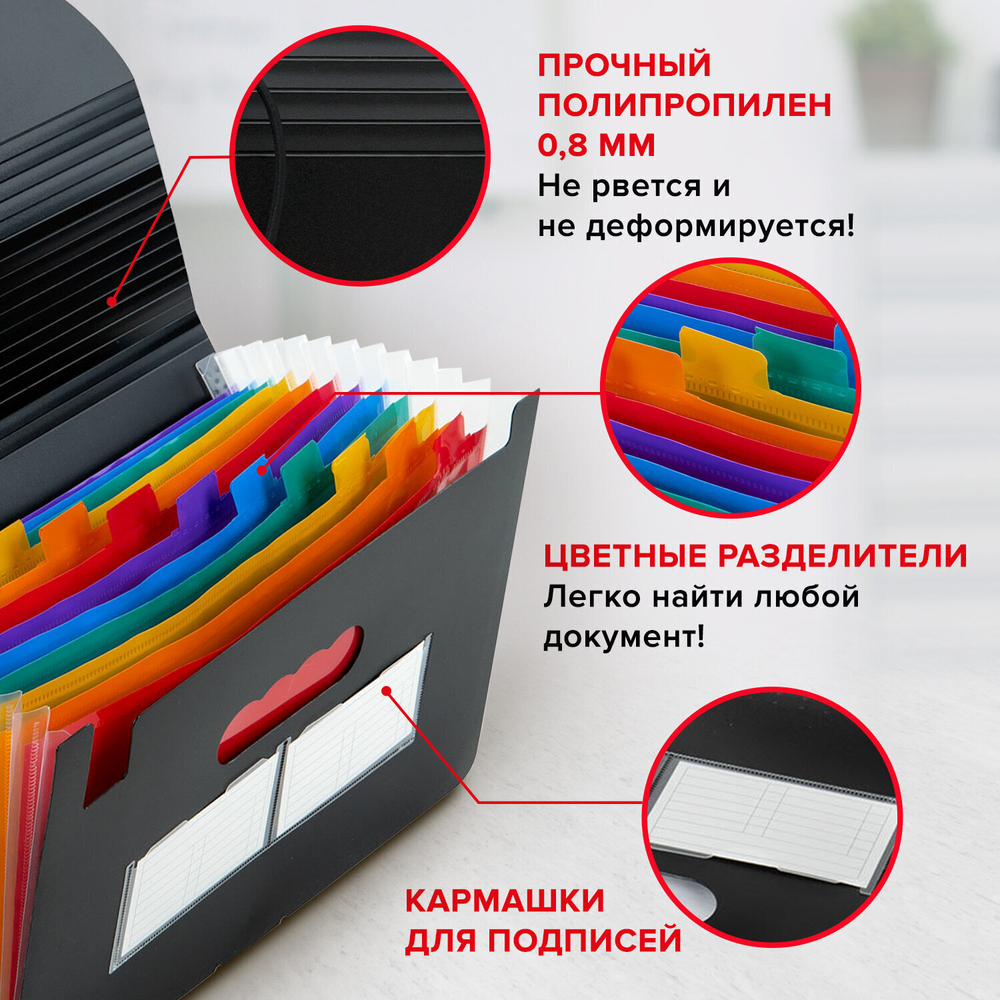 Папка-органайзер для бумаг и документов на резинке 13 отделений BRAUBERG DOCS А4 черная (2 штуки в упаковке)