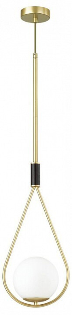 Подвесной светильник Odeon Light 4810/1