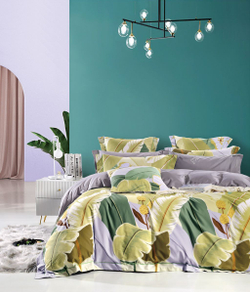 Постельное белье 2 спальное евро Asabella 1853-6