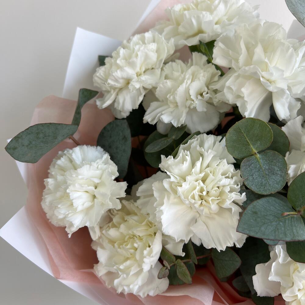 Премиум диантусы