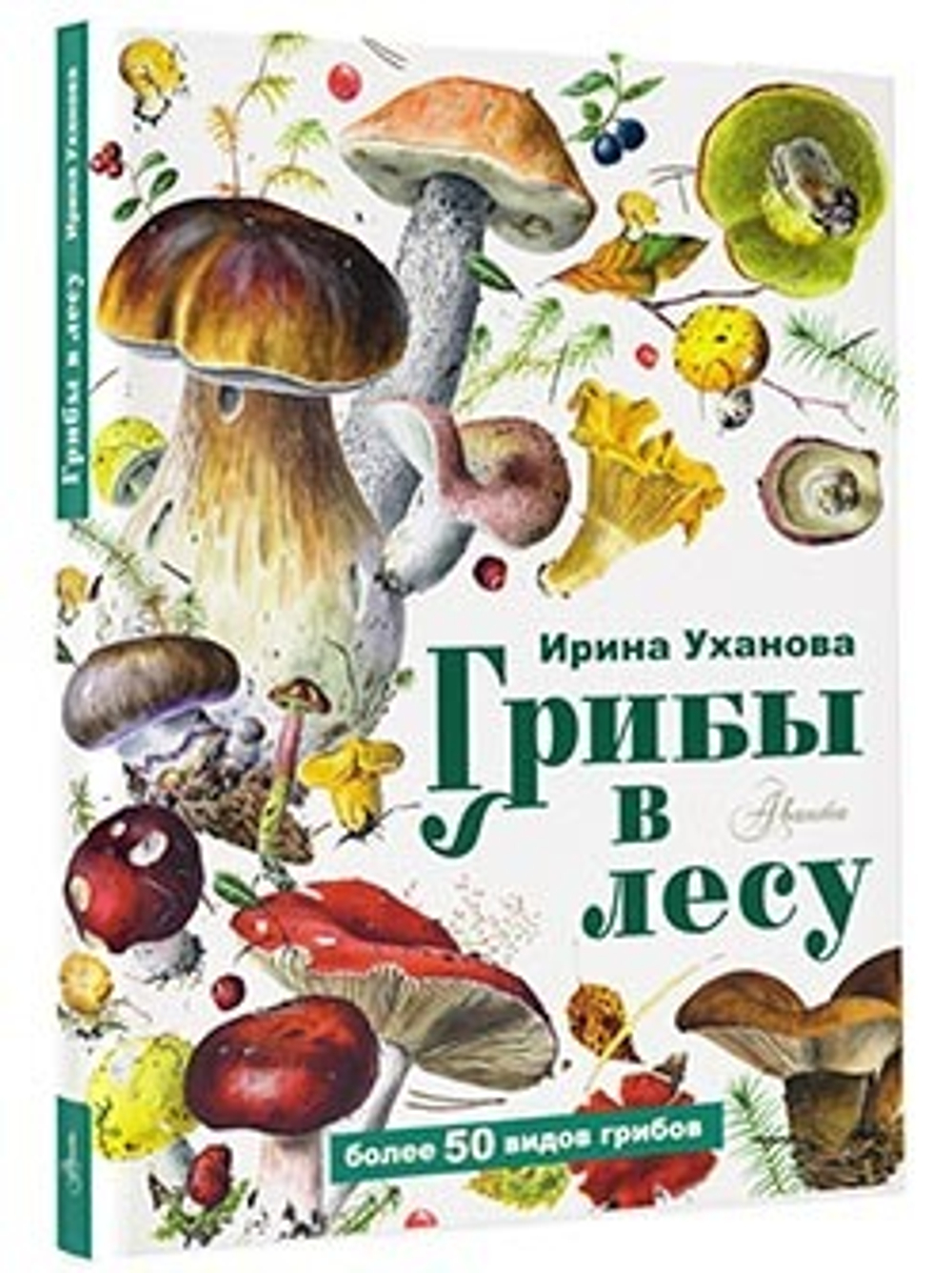 Грибы в лесу