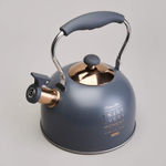 Чайник 2,5л нерж со свистком, индукция, 914-161