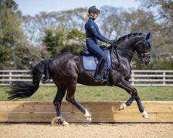 Вальтрап выездковый LeMieux ULTRAMESH