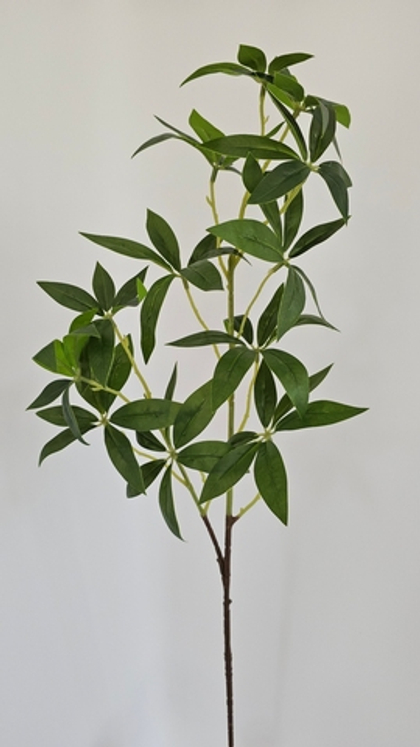 Шеффлера остролистная на стебле / Арт 1217