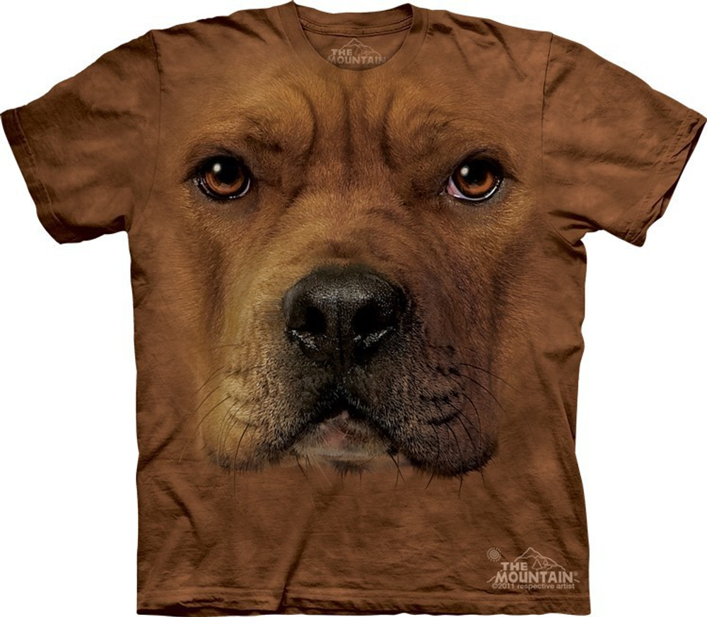 Pitt-Bull Face