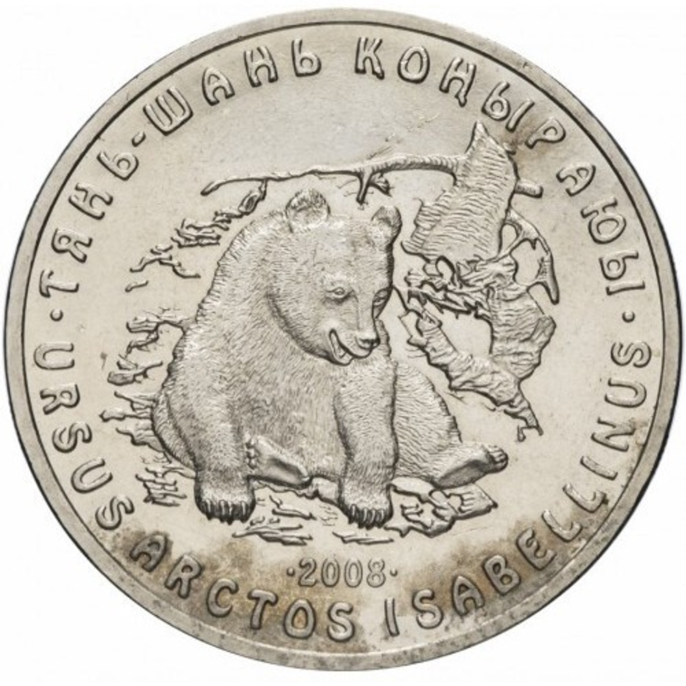 Тянь-шанский бурый медведь