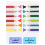 Карандаши цветные 12цв. Гамма Хобби. Флористика