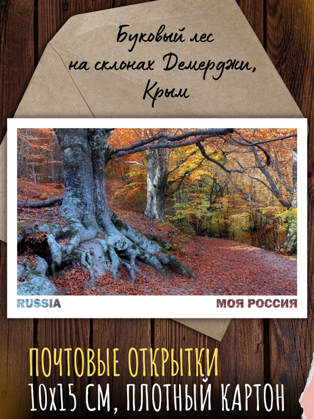 Моя Россия. Осень (выпуск №5, 2025)