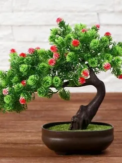 Бонсай в горшке "Деревце изгиб" 12х17 см, микс