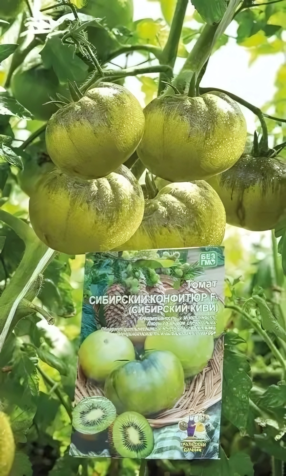 Семена Томат Сибирский конфитюр F1 (Сибирский киви) 20 шт (УД) Е/П Б/Ф