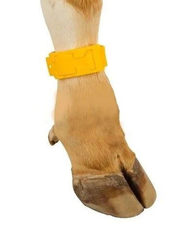 Ножные банды КРС пластиковые VetColor, цвет желтый, 10 шт.