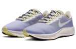 Кроссовки Nike Pegasus 37 (Женская размерная сетка)