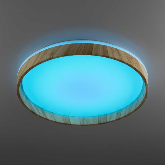 Потолочный светодиодный светильник Citilux Enzo CL753452G
