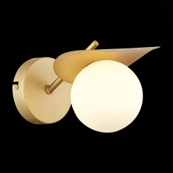 Светильник настенный Evoluce Bolzano SLE220501-01