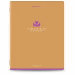 Тетради предметные, КОМПЛЕКТ 13 ПРЕДМЕТОВ, 48 л., матовая ламинация, BRAUBERG "MONOCOLOR", 405175