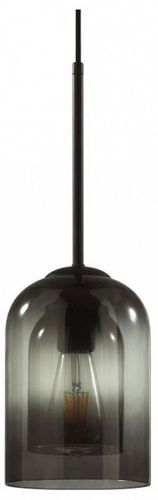 Подвесной светильник Lumion 5281/1