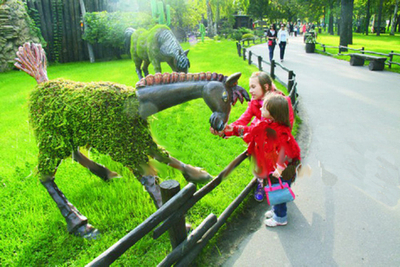 Топиарная фигура Жеребенок