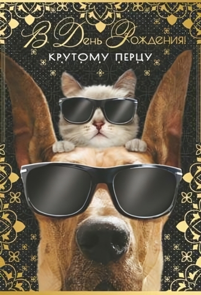 Открытка "В День рождения! Крутому перцу" 12*18 см (Сфера)