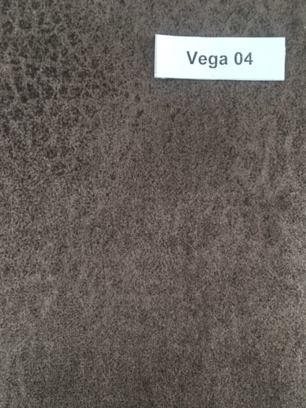 Vega 04